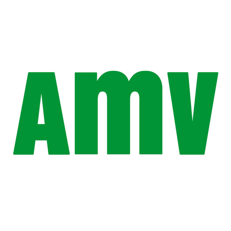 Opiniones sobre AMV
