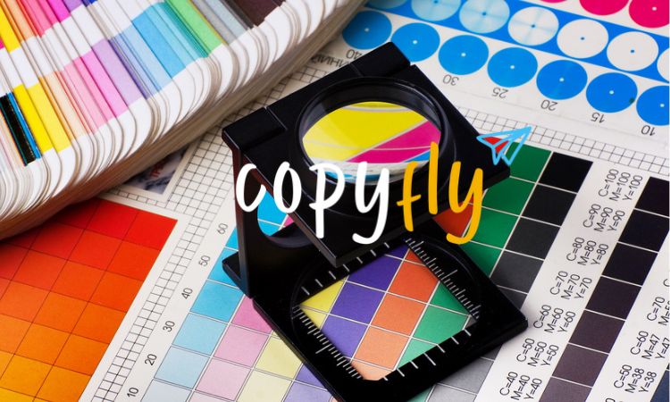 Opiniones sobre Copyfly de Sergio Hernández