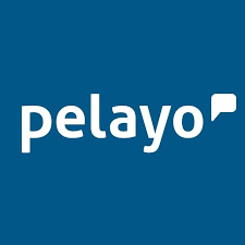 Opiniones sobre Pelayo de Francisco Lara ¿Es fiable o estafa