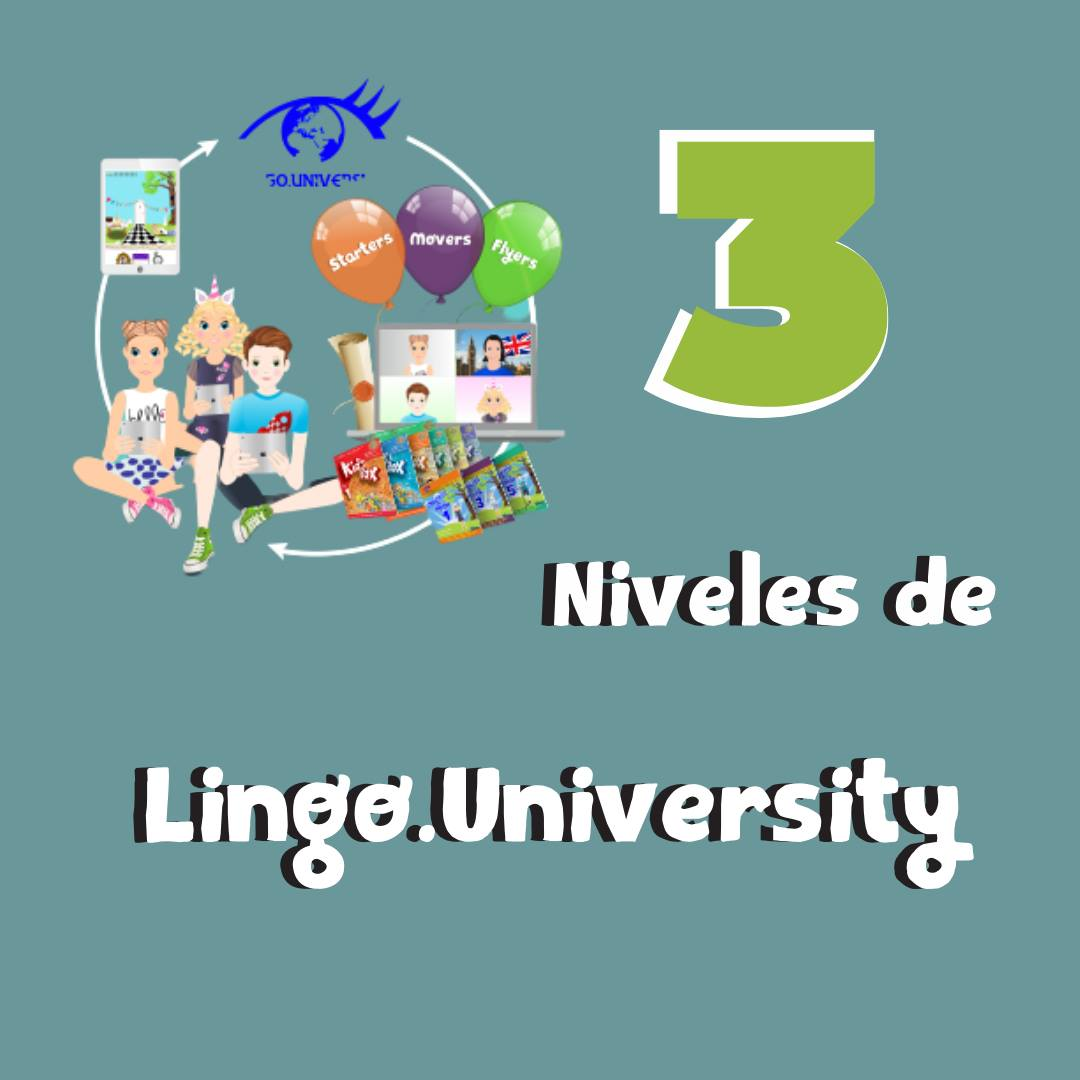 opiniones sobre Lingo University