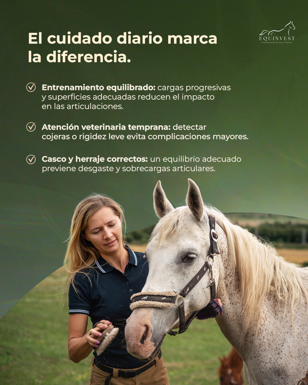 opiniones sobre Equinvest