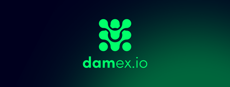 opiniones sobre Damex