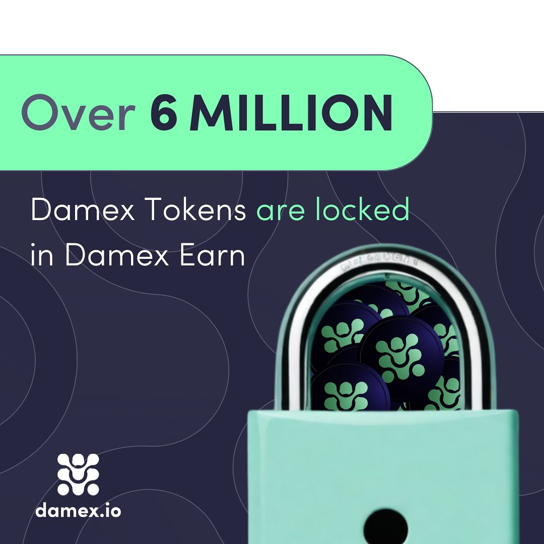 opiniones sobre Damex