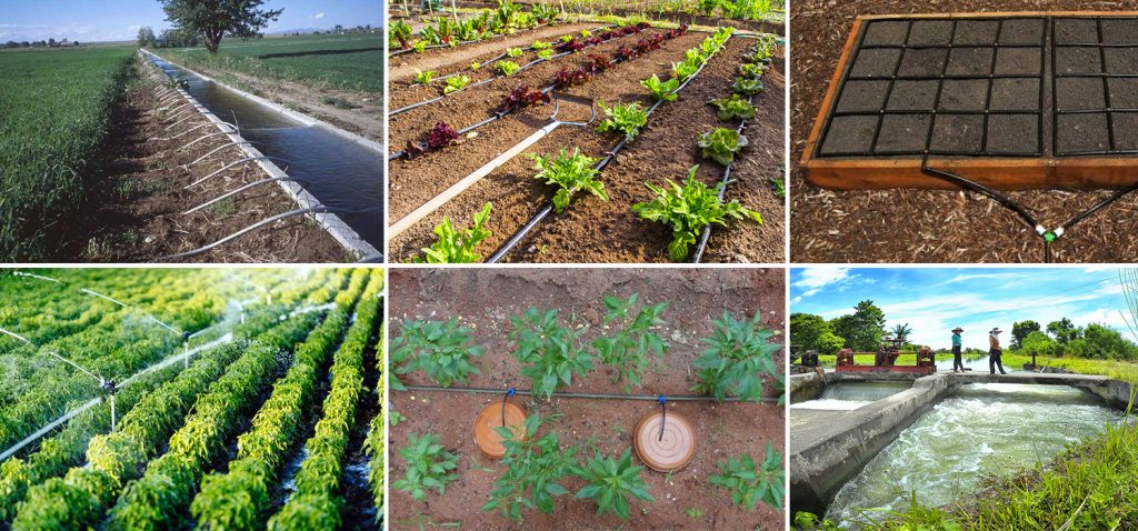 opiniones sobre Veroglez Agro