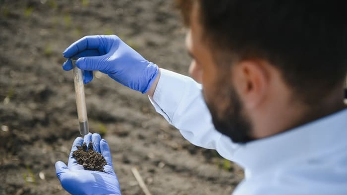 opiniones sobre Veroglez Agro