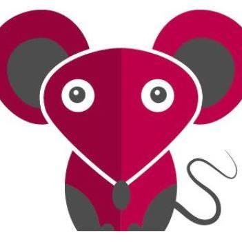 opiniones sobre Convertiam