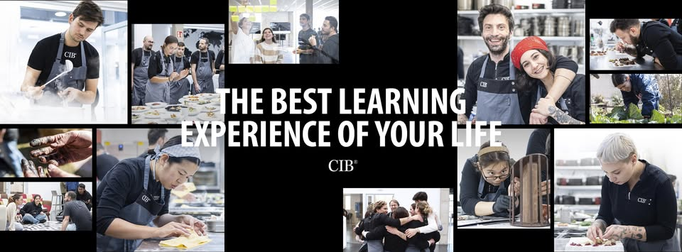 opiniones sobre CIB Education,