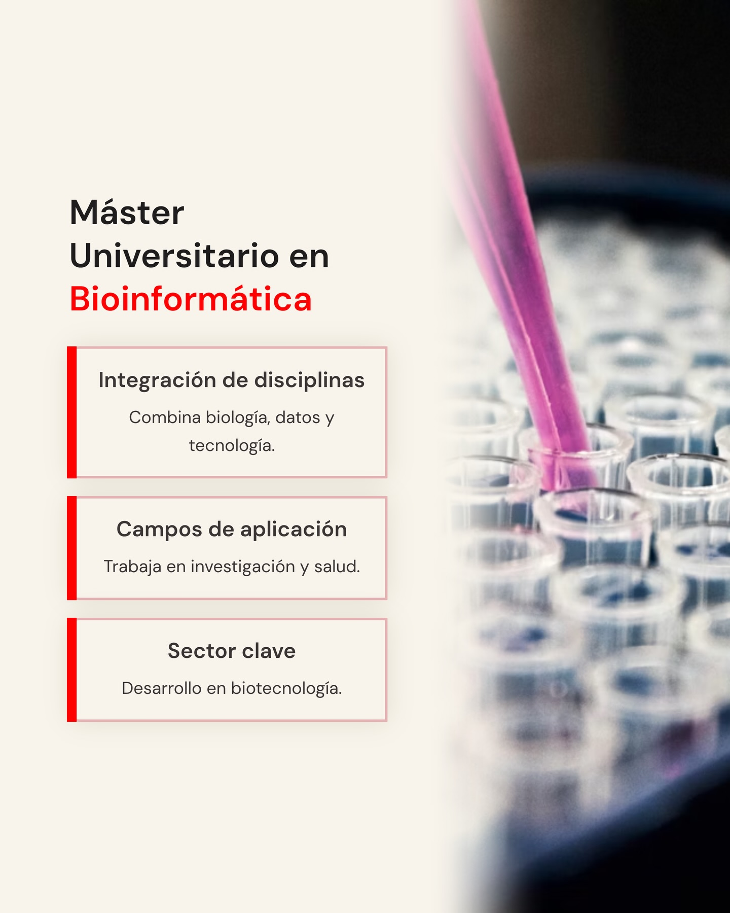 opiniones sobre Estudia En Madrid