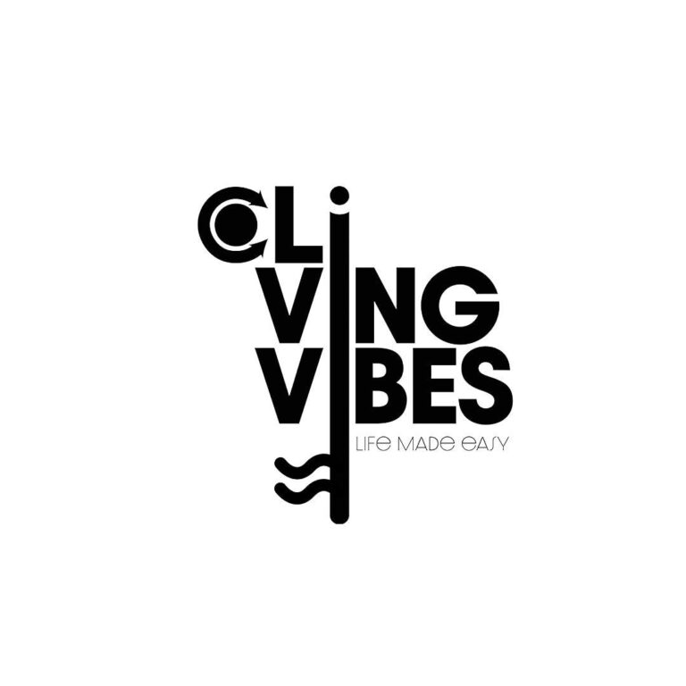 opiniones sobre Coliving Vibes